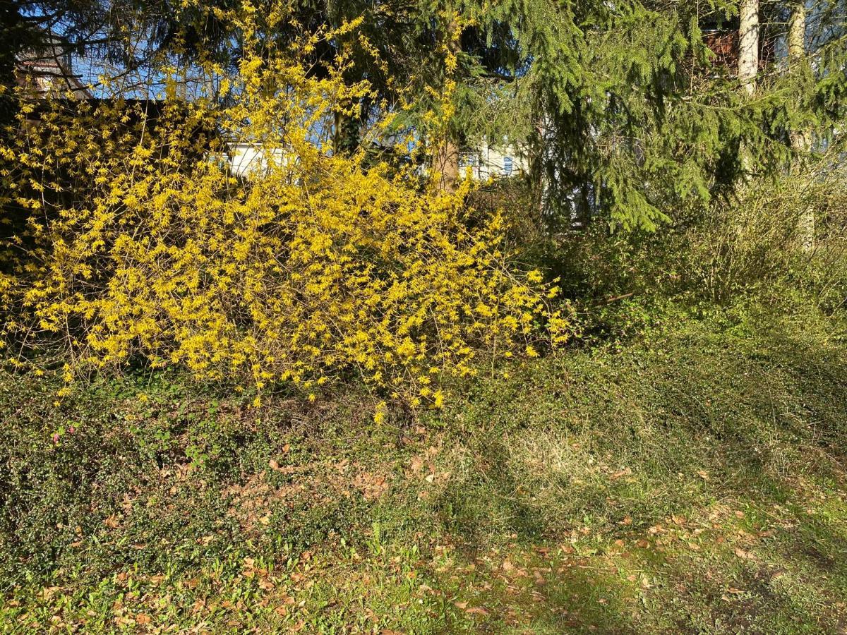 Ferienwohnung Sternenhimmel Lichtenberg  Экстерьер фото